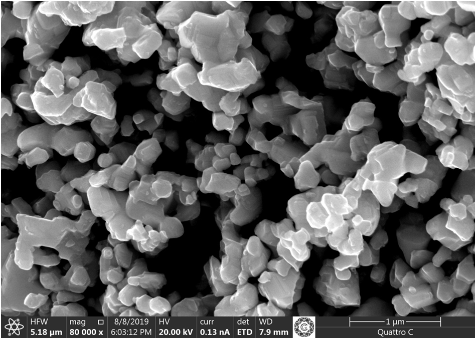 PZ36 SEM image of WC powder